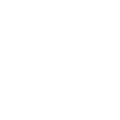 Brigade Logo
